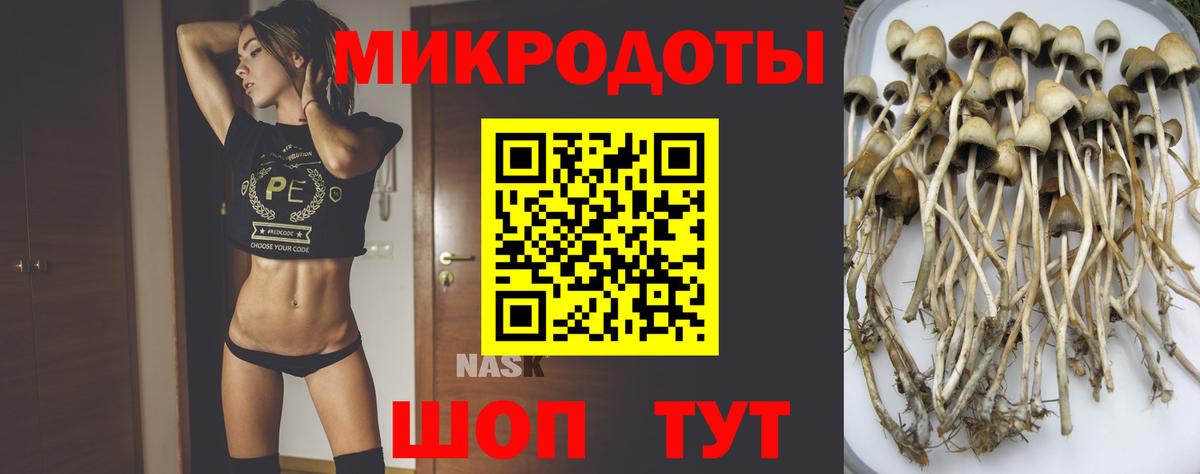 Псилоцибиновые грибы мухоморы  Вход с VPN  наркотики  Камышин 